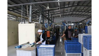 石家庄宏大卫生用品厂 专业技术服务，为您提供全方位卫生保障